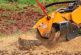 Seasonal Cleanup (Spring/Fall) in Bean Station, TN